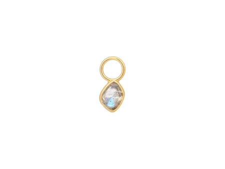 Gold Plated Labradorite Earring Charm by Ania Haie Online Hot Sale