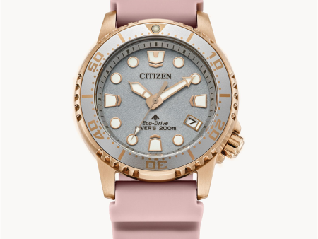 Eco Drive Pink Strap Promaster Dive Watch by Citizen Online Sale