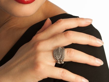 SLINKY Chain Section Ring Fashion