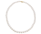 14K Yellow Gold 8-8.5mm Freshwater Cultured Pearl Strand Necklace Online now