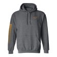 Forza Motorsport Logo Pullover Hoodie on Sale