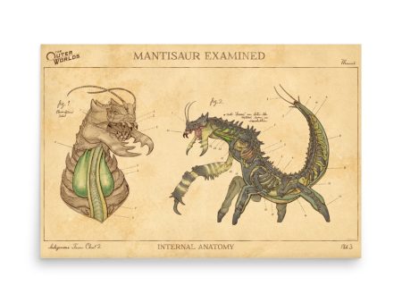 The Outer Worlds Mantisaur Print Online